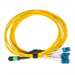 12 core MPO/MTP Patch Cord