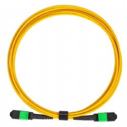 MPO/MTP Patch Cord