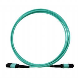 MPO/MTP Trunk Cable